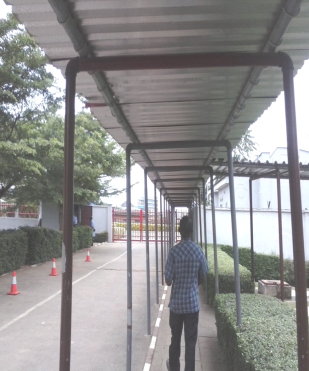 Commercial Curtain Wall Elevation & Transom Grid